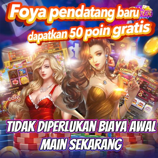 Wie wil er nog meer succesvol zijn met gambling uden rofus